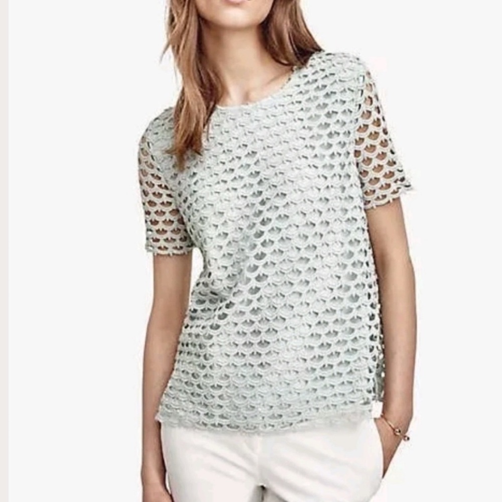Ann Taylor Mint Green Scalloped Textured Lace Blouse Top Size Med